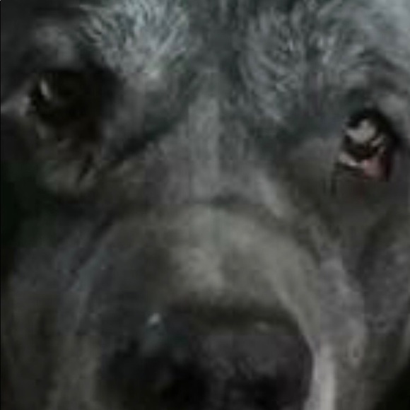 Meet your Posher, Tammy - Picture 11 of 16